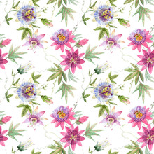 Beautiful Vector Seamless Floral Pattern With Watercolor Summer Passionflower Flowers. Stock Illustration.