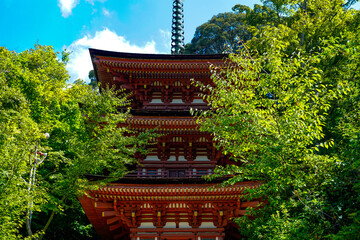 Sticker - Joruriji Temple in Nara.