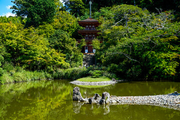 Poster - Joruriji Temple in Nara.