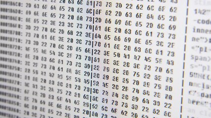 Wall Mural - close up on computer screen binary code on white background.