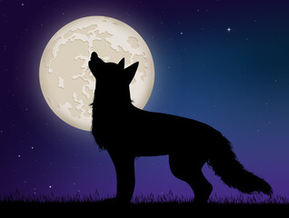 Poster - illustration of wolf i the moonlight