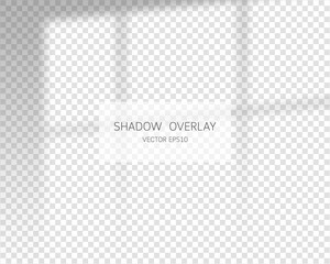 Shadow overlay effect. Natural shadows from window isolated on transparent background. Vector illustration. 