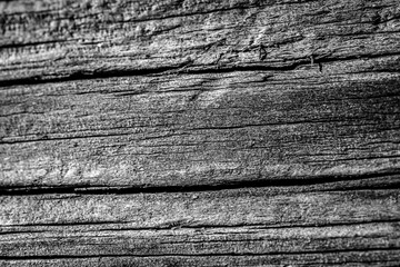 old wood background