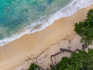 Beach in St. Croix with waves crashing with palm trees