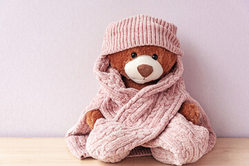 Plush stuffed toy in knitted hat and sweater. Soft teddy bear with scarf, prepared for winter or autumn colds. Love and care, cuddly for nursery. Valentines present plaything, warmth and fondness