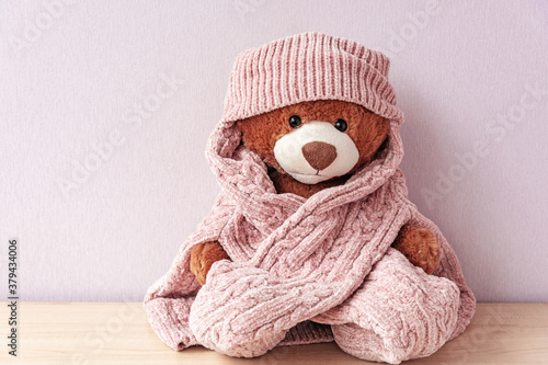 Cuadros en Lienzo Plush stuffed toy in knitted hat and sweater