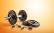 © Miquel - Metal dumbbell set. Isolated on orange background. Gym, fitness and sports equipment symbol