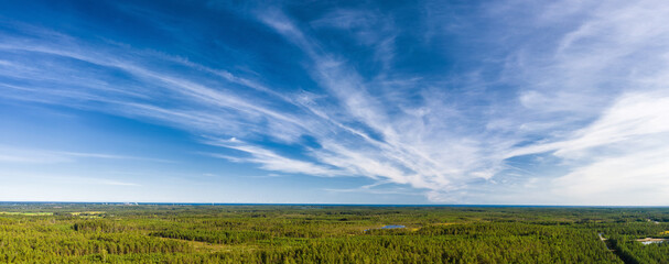 breathtaking aerial view of endless scandinavian green pine tree forest up to horizon line, blue sky