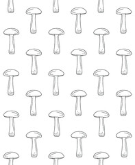 Wall Mural - Vector seamless pattern of hand drawn doodle sketch Orange cup boletus isolated on white background