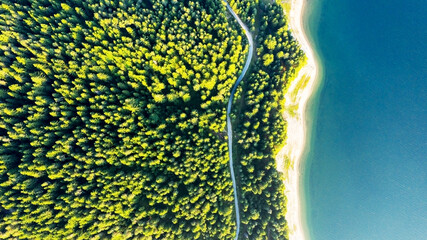Aerial view of evergreen trees, texture of the top of the tree on the shore of a mountain lake and a country road in the forest. Beautiful green spruce forest. Lake, pines aerial view