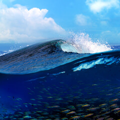 Fototapete - Blue Ocean Wave moving to a shore over Coral reef with underwater view full of fish. Splashing crest water lip barrel