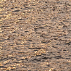 Wall Mural - warm color shining sunset water surface