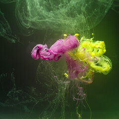 Wall Mural - acrylic paint colorful cloud in water