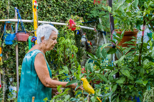 Fotografía Mulher idosa contempla e cuida do seu jardim florido