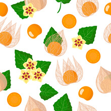 Vector Cartoon Seamless Pattern With Physalis Peruviana Exotic Fruits, Flowers And Leafs On White Background