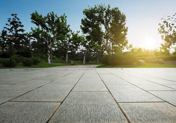 Wall Mural - garden nature landscape with empty floor during sunrise