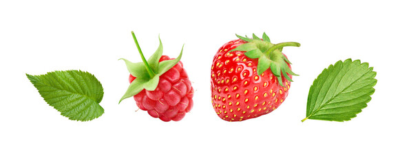 Wall Mural - Raspberry and strawberry isolated on white