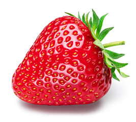 One strawberry isolated on a white background.