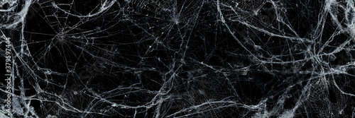 Fotografía Spooky Cobweb In The Darkness - Halloween Background