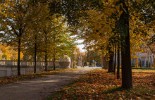 Walking Path Between Trees With Yellow Leaves In Wilanow Park Poland In Autumn Photo Wallpaper