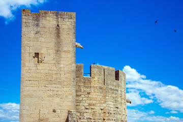 Wall Mural - The historic tower