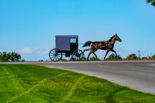 Silhouette View Of An Amish Buggy