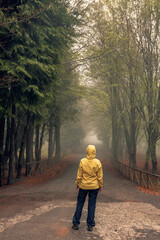 Wall Mural - Walking on a foggy road