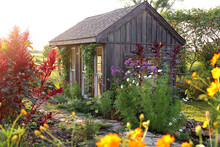 Little Rustic Cottage Like Garden Shed Surrounded By Colorful Summer Flowers