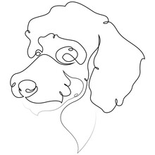 Poodle Vector Dog Portrait. Continuous Line. Dog Line Drawing