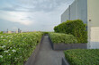 © tampatra - Sky garden on private rooftop of condominium or hotel, high rise architecture building with tree, grass field, and blue sky.