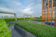 © tampatra - Sky garden on private rooftop of condominium or hotel, high rise architecture building with tree, grass field, and blue sky.