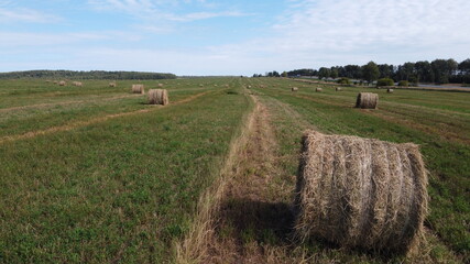 field and haystack