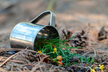 A Metal Mug With Herbal Tea Turned Upside Down On The Ground.