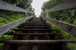 © Daniel - A wood stair trail in summer forest at Straits State Park in Michigan