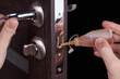 adjusting inner door lock using lubricating oil. indoors. fixing door squealed domestic problem
