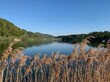 © hachri - Türlersee - See im Kanton Zürich im Säuliamt am Albis- See in der Natur mit Schilf und Wald