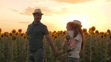 A Loving Family Plays And Travels On A Blooming Sunflower Plantation. Little Daughter In Arms Of A Farmer's Father And Mother, A Walk Through A Sunflower Field In The Rays Of A Beautiful Sunset.