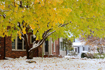 Wall Mural - Early snow background, climate changing concept. Scenic morning landscape with autumn bright color trees and street covered by fresh first snow in the private houses residential neighborhood. 
