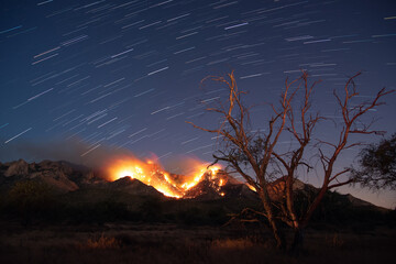 Wall Mural - bighorn wildfire in the desert mountains at night