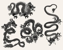 Set Of Chinese Dragon Images In Black Engraved Vector Illustration Isolated.