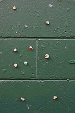 Green Cement Block Wall With Colourful Chewing Gum