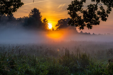Wall Mural - wonderful, misty sunrise over a meadow in the swidwie reserve in poland