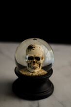 Skull Snow Globe