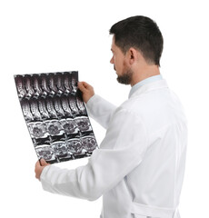 Poster - Orthopedist holding X-ray picture on white background