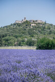 Fototapeta  - Provence hilltop town La Garde Adhemar 