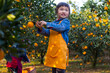 © Bo Bo/Stocksy - Happy Little Girl in the autumn Orange Farm