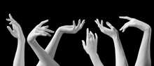 Mannequin Hands Set, Isolated Female Hand White Sculptures Elegant Gestures Isolated 3d Rendering Concept