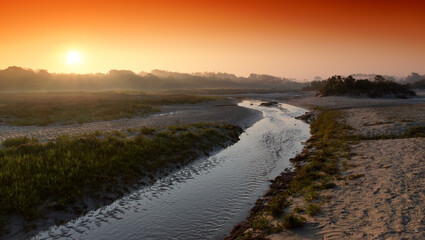 Wall Mural - Foggy morning  at the Maye beach in the bay of Somme