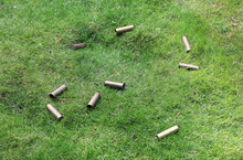 Hunting Cartridges Lie On The Ground