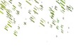 © Dmitry - Light Green vector layout with flat lines.